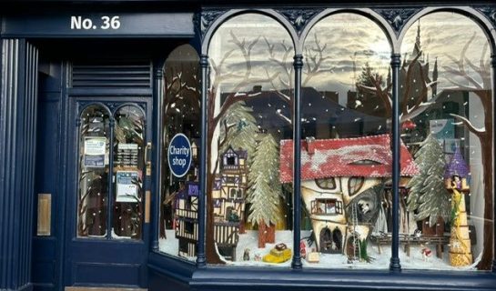 Enjoy the Magic of Our Christmas Mice Window Display in Devizes